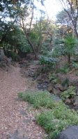 DSC00313.JPG